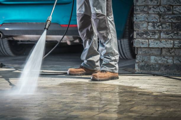 Best Paint Preparation  in Valmeyer, IL